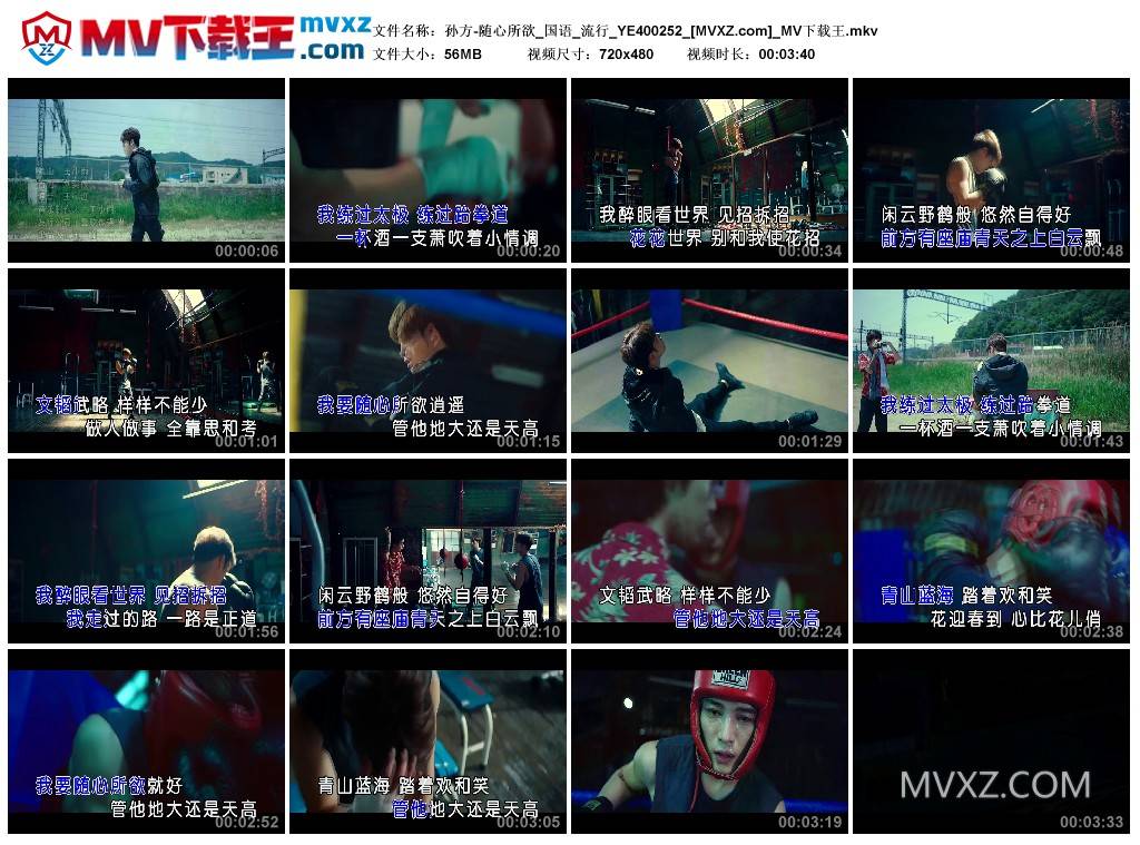 孙方-随心所欲_国语_流行_YE400252